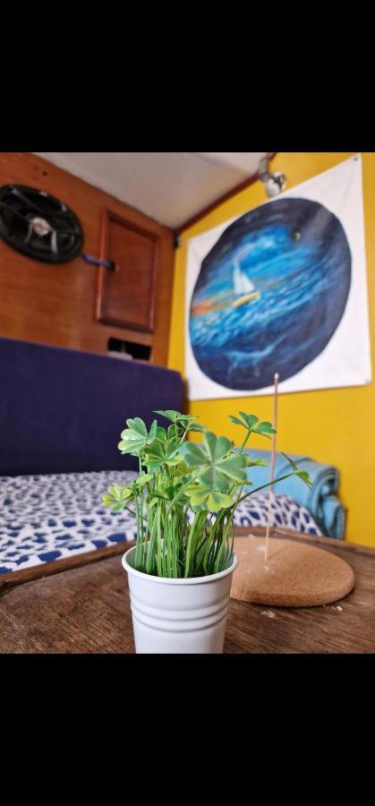 El Barquito De Arrecife Hotell Arrecife  Eksteriør bilde